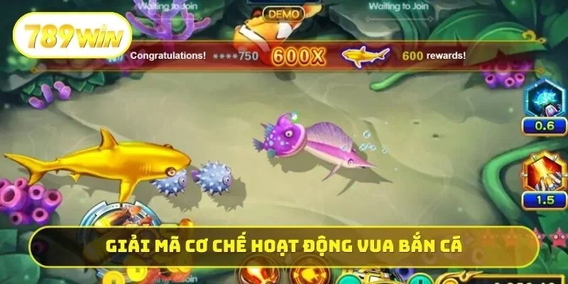 Giải mã cơ chế hoạt động Vua bắn cá